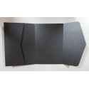 Tri Fold Envelope
