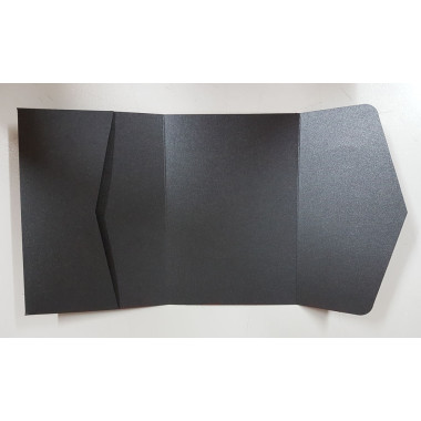 Tri Fold Envelope